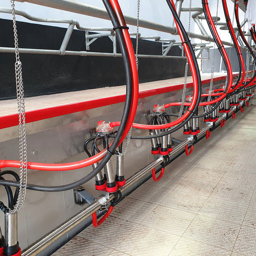 Моечная станция для помещения для дойки - Low Line Jetter  - Pearson International - автоматическая