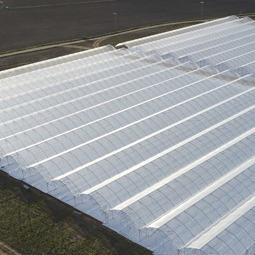 Туннельная теплица - Berryfesta - J. Huete Greenhouses - из пластика / с водосточным желобом
