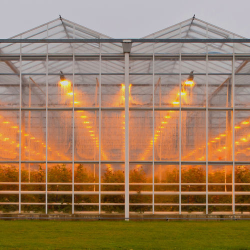 Теплица из стекла - J. Huete Greenhouses - туннельная / для сложных климатических условий
