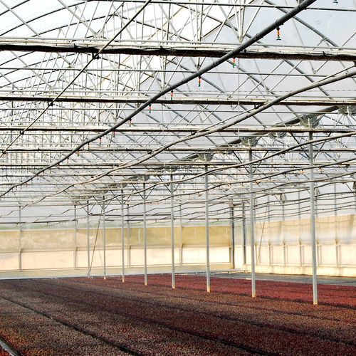 Теплица для растений в питомнике - J. Huete Greenhouses - туннельная / из стекла