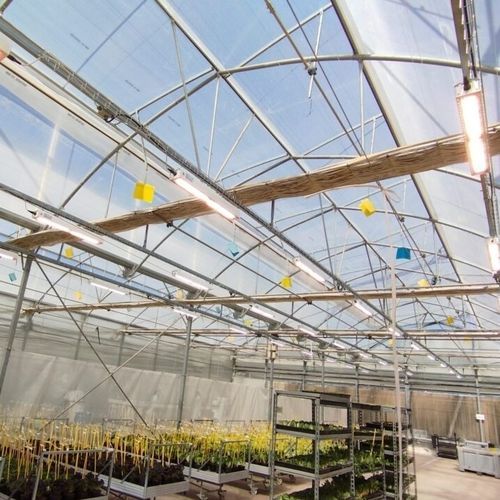 Освещение для теплицы - J. Huete Greenhouses - LED