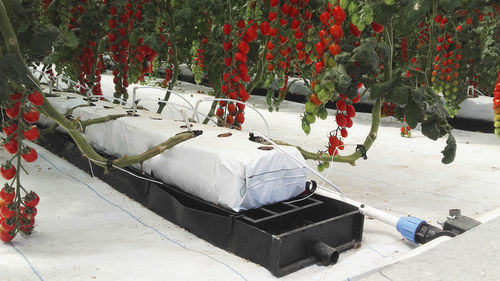 Водосточный желоб из полипропилена - J. Huete Greenhouses
