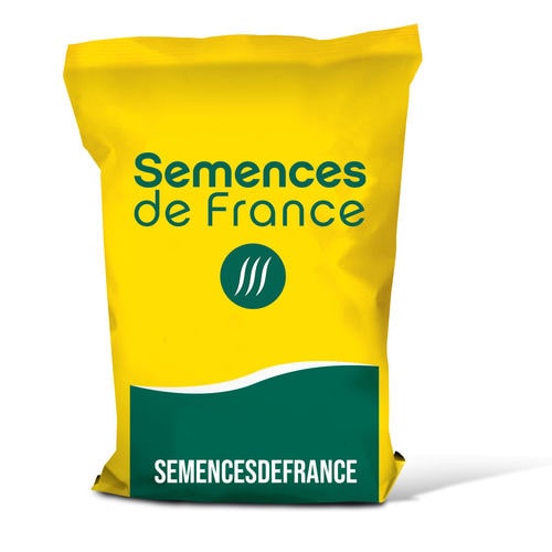 Весеннее семена конских бобов - AMIGO - semencesdefrance