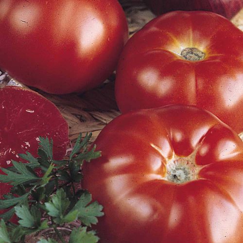 Красный семена томатов - Super Marmande - thompson-morgan - розовый / круглый