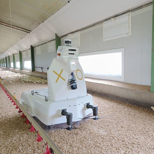 Многоцелевой сельскохозяйственный робот - XO MINI - OCTOPUS BIOSAFETY - автономный блок / для птицеводства