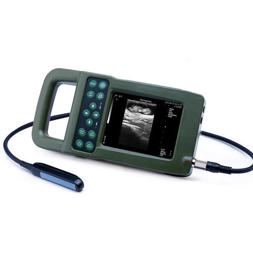 Переносной ветеринарный эхограф - KX5600F - Xuzhou Kaixin Electronic Instrument Co., Ltd - для крупных животных / для визуализации репродуктивных органов / с питанием от батареи