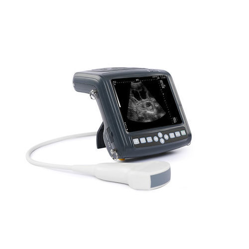 Портативный ветеринарный эхограф - KX5200 - Xuzhou Kaixin Electronic Instrument Co., Ltd - для крупного рогатого скота / для лошади / для овец