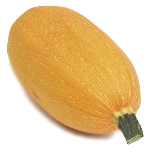 Раннее семена тыквы - Orangetti - Origene seed - гибридное