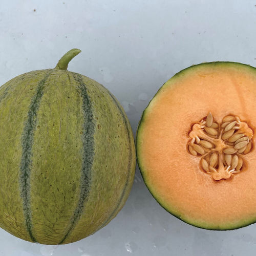 Ранний семена дыни - Melonade - johnnyseeds - устойчивый к оидиуму / устойчивый к фузариозу / годовой