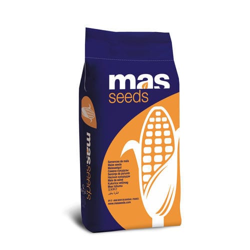 Ранний семена кукурузы - MAS 282K - Mas Seeds - зерна / устойчивый к гельминтоспориозу / устойчивый к фузариозу