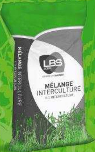 Корм горчица - CIPAN’Vit - lbs-seeds - для восстановления азота / для структурирования грунта / CIPAN