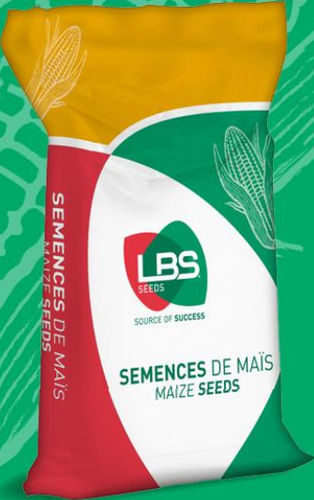 Поздний семена кукурузы - LBS 5257 - lbs-seeds - зерна / зубчатый