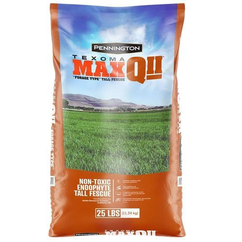 Корм овсяница - TEXOMA MAXQ II  - pennington - для питания животных / для крупного рогатого скота