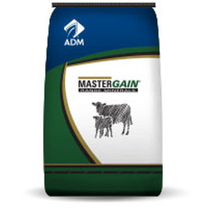 Кормовая добавка для животных - MasterGain® - admanimalnutrition - для крупного рогатого скота / минералы / витамины