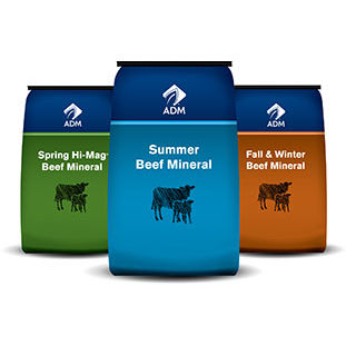 Кормовая добавка для животных - Seasonal Fescue - admanimalnutrition - для крупного рогатого скота / кальций / фосфор