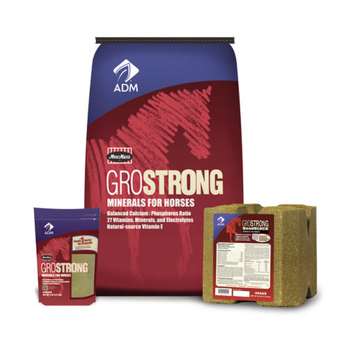 Лизунец для лошадей - GROSTRONG QuadBLOCK - admanimalnutrition - с микроэлементами / с солью / с витаминами