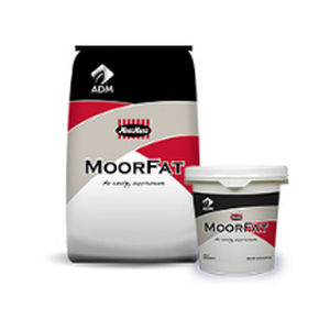 Кормовая добавка для животных - MoorFat™ - admanimalnutrition - для свиноматки / для протеинов / жирная