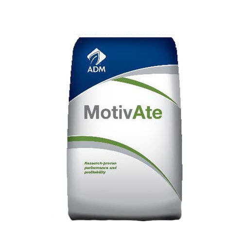 Кормовая добавка для животных - MotivAte™ 10/12 - admanimalnutrition - для свинины / витамины / для протеинов