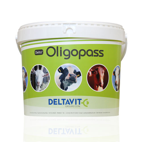 Кормовая добавка для животных - Delta® OLIGOPASS® - deltavit - для дойных коров / для коз / минералы