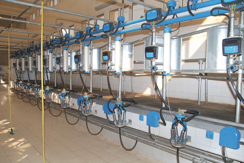 Помещение для дойки «в елку» - Milkline NG SpA - для коров / автоматический контроль входа и выхода / свинг-овер