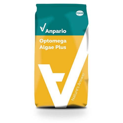 Кормовая добавка на основе водорослей - Optomega™ Plus - Anpario - для животных / для крупного рогатого скота / для домашней птицы