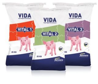 Кормовая добавка для животных - VITAL series - forfarmers - для поросят / цинка / пребиотик