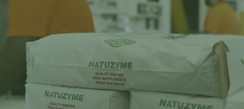 Пищевая присадка фермент - Natuzyme - Adnimalis - для домашней птицы / для крупного рогатого скота / сухая