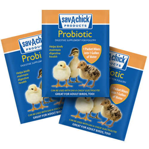 Кормовая добавка для животных - Sav-A-Chick® Probiotic Supplement - savacaf - для домашней птицы / с дрожжами / в форме порошка