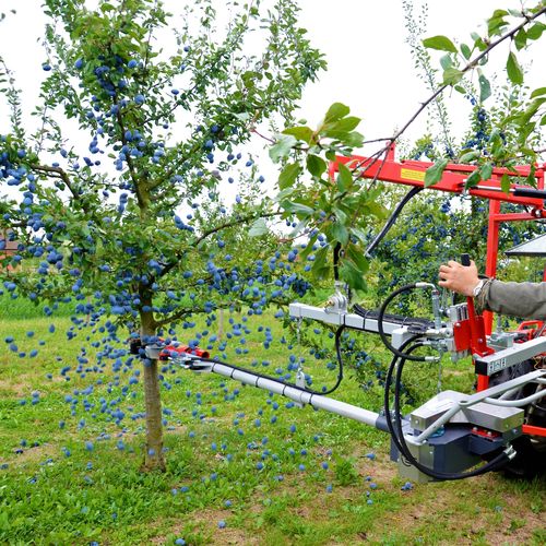 Вибратор для сбора урожая для фруктов - PESTKA - JAGODA JPS Agromachines - для миндаля / для ореха-пекана / для лесного ореха