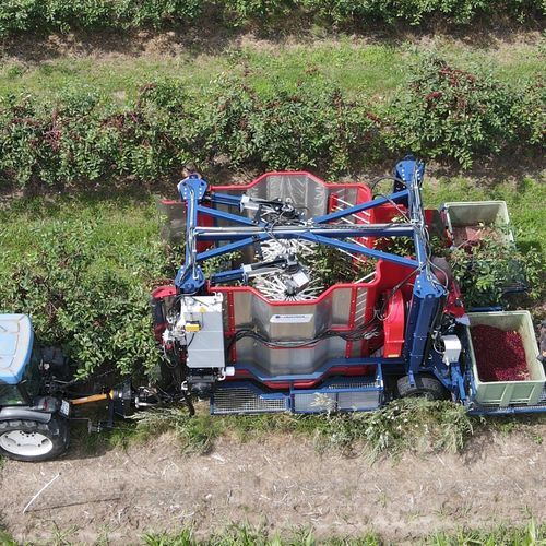 Уборочная машина для лесного ореха - 300A - JAGODA JPS Agromachines - для миндаля / для оливок / для слив