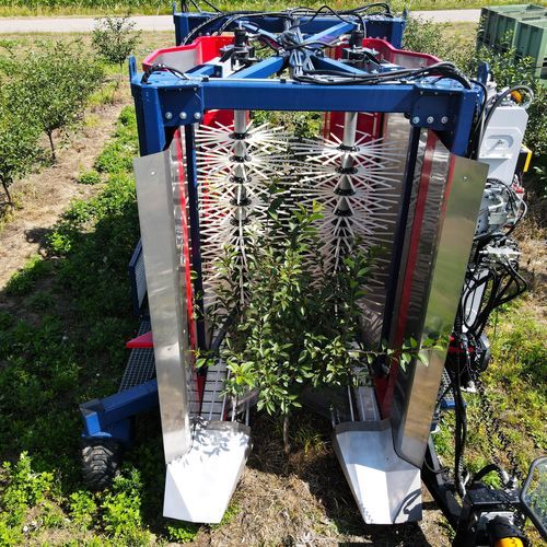Уборочная машина для лесного ореха - JAGODA 350 - JAGODA JPS Agromachines - для миндаля / для оливок / для слив