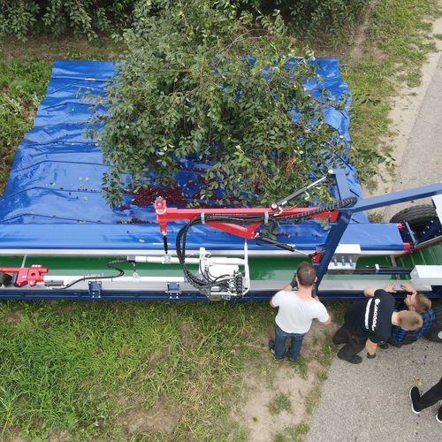Вибратор для сбора урожая для оливок - G-004 - JAGODA JPS Agromachines - для установки на трактор / гидравлический / низкий вал
