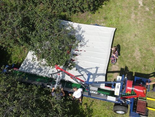 Уборочная машина для фруктов - G-004 Pro - JAGODA JPS Agromachines - для лесного ореха / для миндаля / для слив