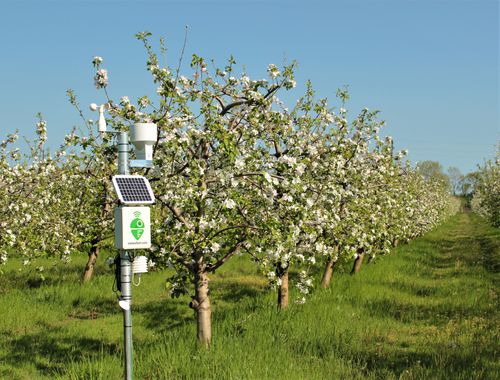 Метеостанция для измерения скорости ветра - Meteobot® Pro - Prointegra Ltd. - для измерения относительной влажности / для определения направления ветра / для измерения осадков