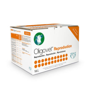 Болюс питание - Oligovet Reproduction - vetalis-technologie - для крупного рогатого скота / корректор недостаточности / внутрирубцевой