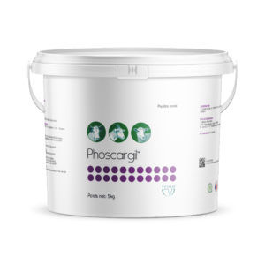 Пищевая присадка rumen enhancer - Phoscargil - vetalis-technologie - для свинины / для крупного рогатого скота / для овец