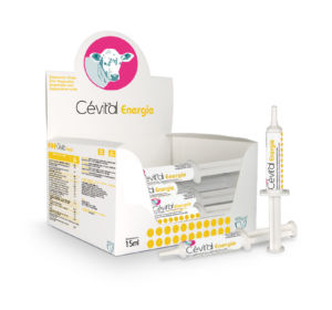 Кормовая добавка для животных - Cevital Energy Calf - vetalis-technologie - для телят / витамины / минералы