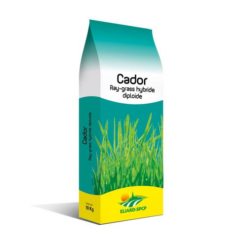 Корм райграс - Cador - eliard-spcp - для питания животных / гибридный