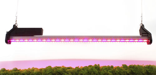 Освещение для теплицы - Spectra RED - Agroled - LED / красная