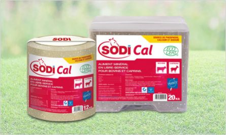 Лизунец для крупного рогатого скота - SodiCal - salins-agri - с микроэлементами / с магнием / с фосфором