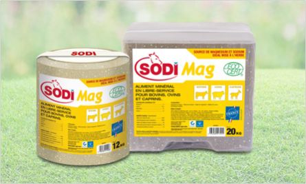 Лизунец для крупного рогатого скота - SodiMag - salins-agri - для овец / для коз / с магнием