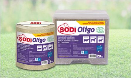 Лизунец для крупного рогатого скота - SodiOligo - salins-agri - для коз / для лошадей / с микроэлементами