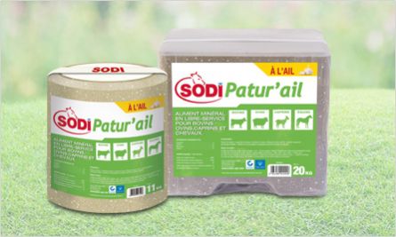 Лизунец для крупного рогатого скота - SodiPatur'ail - salins-agri - для коз / для овец / для лошадей