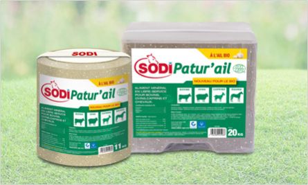 Лизунец для крупного рогатого скота - SodiPatur'ail Ecocert - salins-agri - для коз / для овец / для лошадей