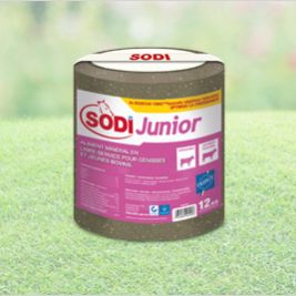 Лизунец для крупного рогатого скота - SodiJunior - salins-agri - с микроэлементами / с магнием / с фосфором