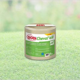 Лизунец для лошадей - SodiCheval'ail - salins-agri - с микроэлементами / с солью / с магнием