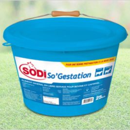 Лизунец для крупного рогатого скота - SodiSo'Gestation - salins-agri - для коз / с микроэлементами / с витаминами