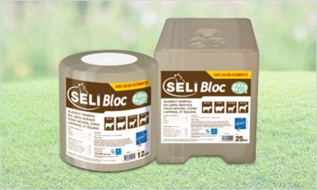 Лизунец для крупного рогатого скота - SeliBloc - salins-agri - для коз / для овец / для лошадей