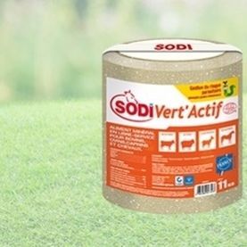 Лизунец для крупного рогатого скота - SodiVert’Actif - salins-agri - для овец / для коз / для лошадей