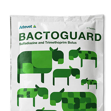 Антибактериальная пищевая присадка - Bactoguard - artevet - для крупного рогатого скота / для овец / для коз